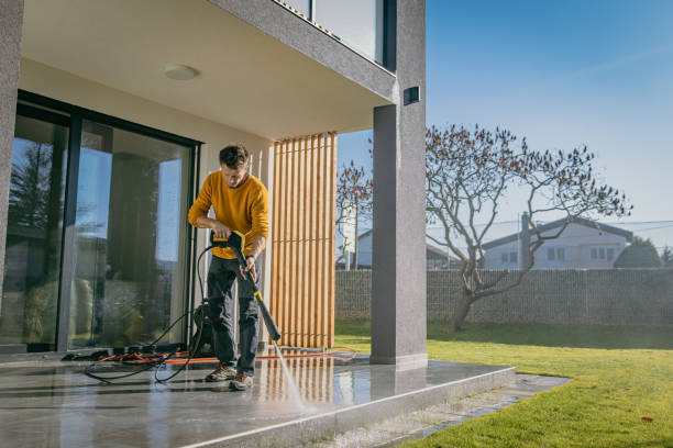 Best Driveway Cleaning and Restoration in Anoka, MN